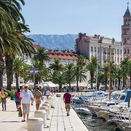 Front In * 斯普利特