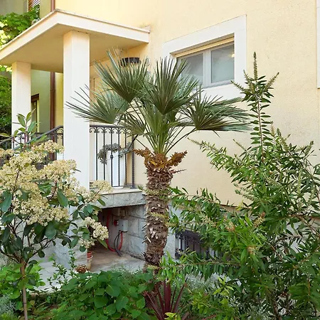 Stunning In * Split